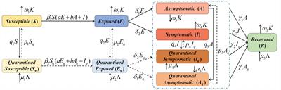 Scenario analysis of COVID-19 dynamical variations by different social environmental factors: a case study in Xinjiang